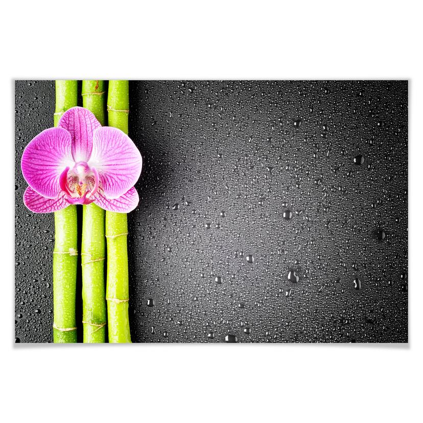 Poster - Orchid and Bamboo
