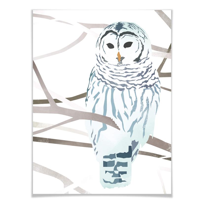 Póster Goed Blauw - El búho nival