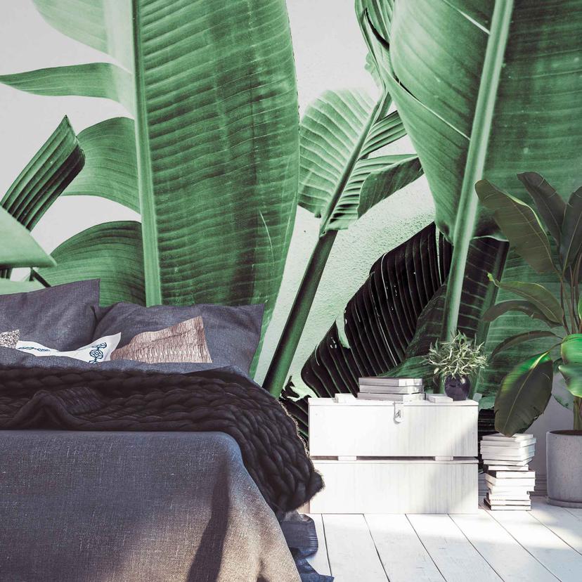 Papier peint Nature PalmFronds2 vert-blanc - papier peint intissé Designwalls 2 - 2.55 x 3.5 m