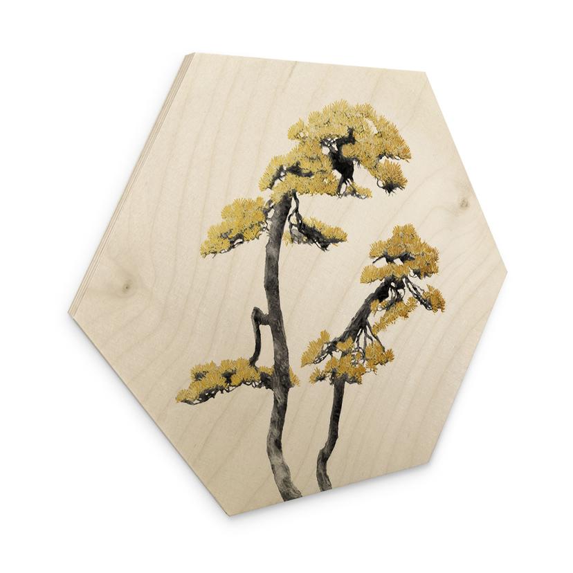 Sekskantet træ Amini - Bonsai