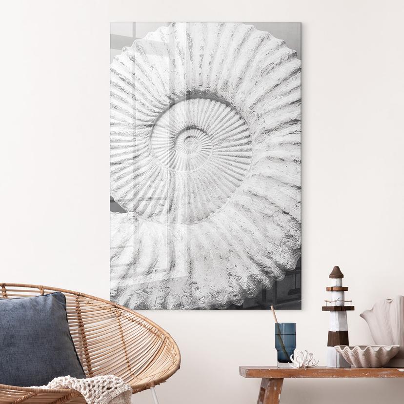 Tableau sur verre acrylique Coquillage fossile - Shot-by-Clint