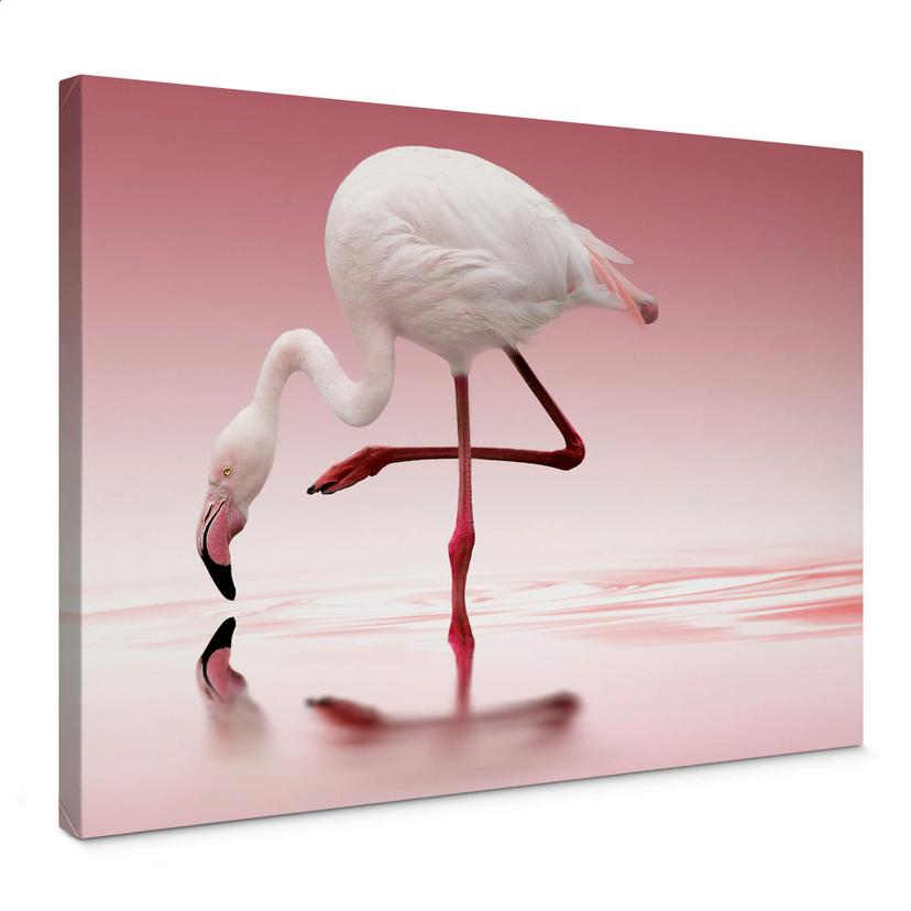 Canvasbillede - Pink Flamingo