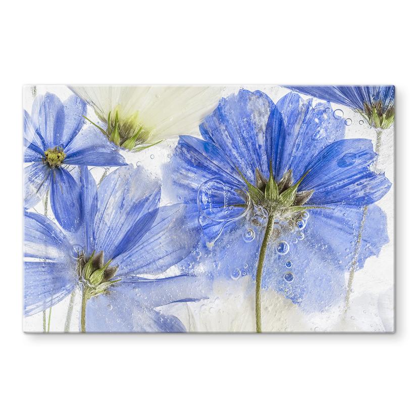 Pannello paraschizzi Disher - Blue Frozen