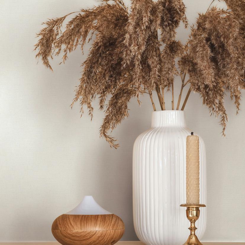 Ikke-vævet tapet struktureret almindelig moderne mat i beige