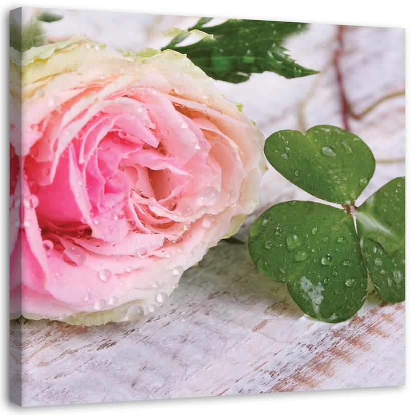 Canvasbillede, Rosenblomster i naturen