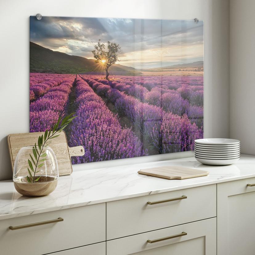 Lavendel i Provence  - stænkplade