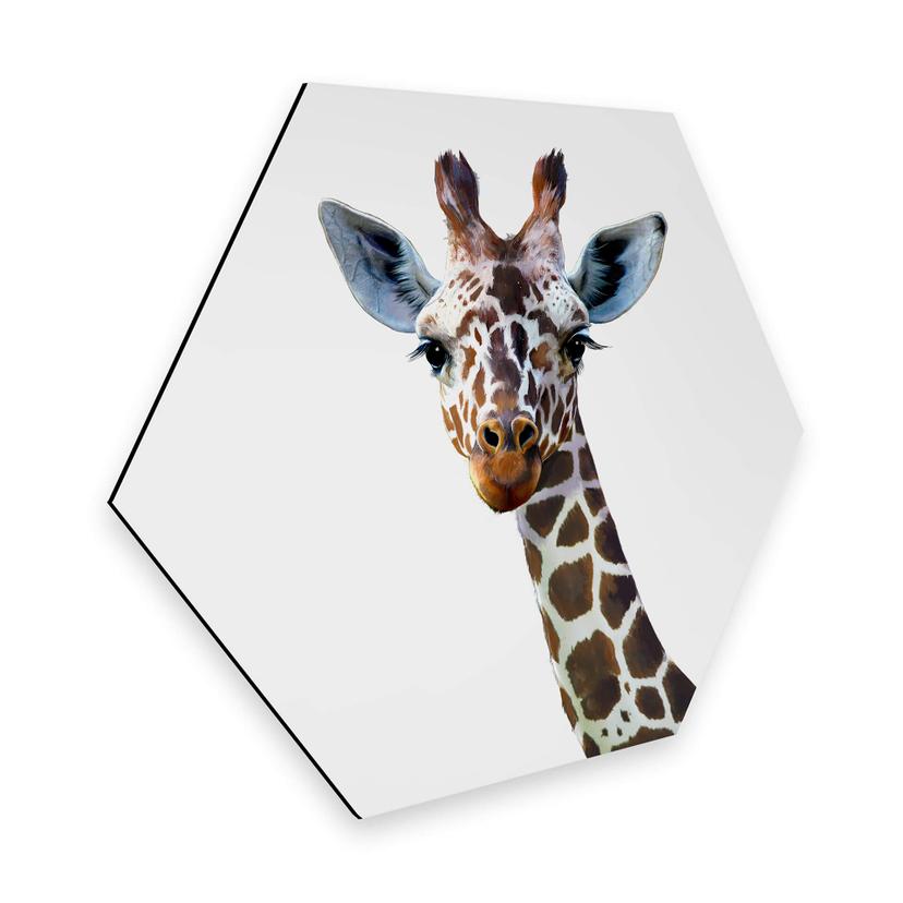 Hexagone - Alu-Dibond Graves - Girafe