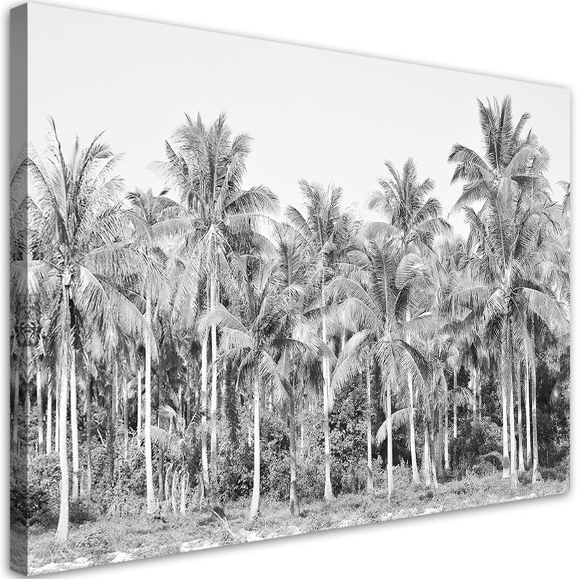 Canvasbillede, Grå palmer i jungle