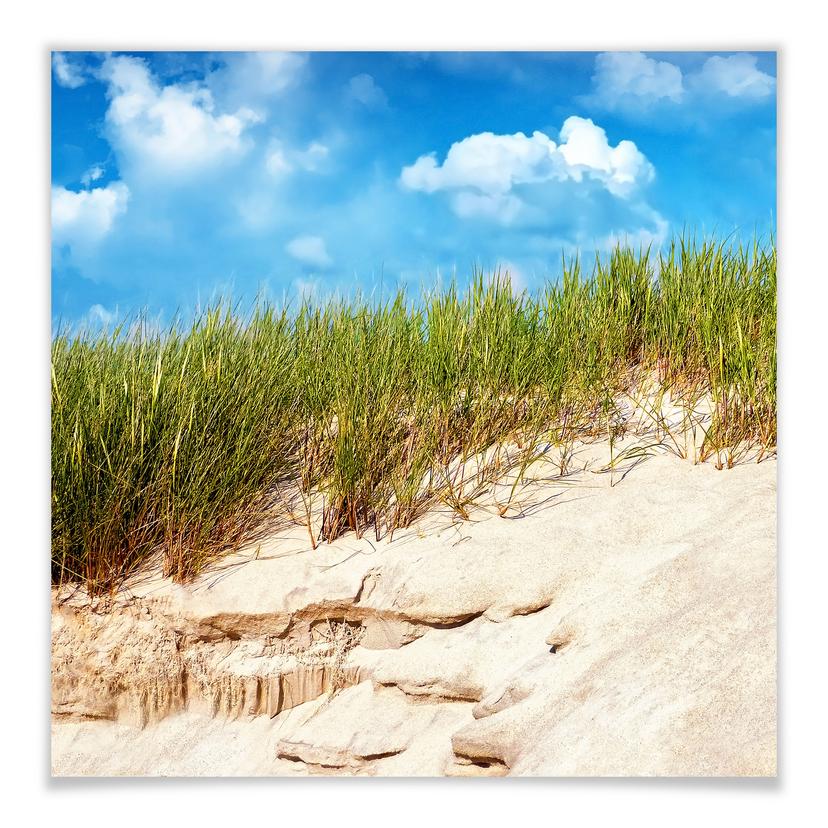 Póster Paisaje de dunas del Mar Báltico