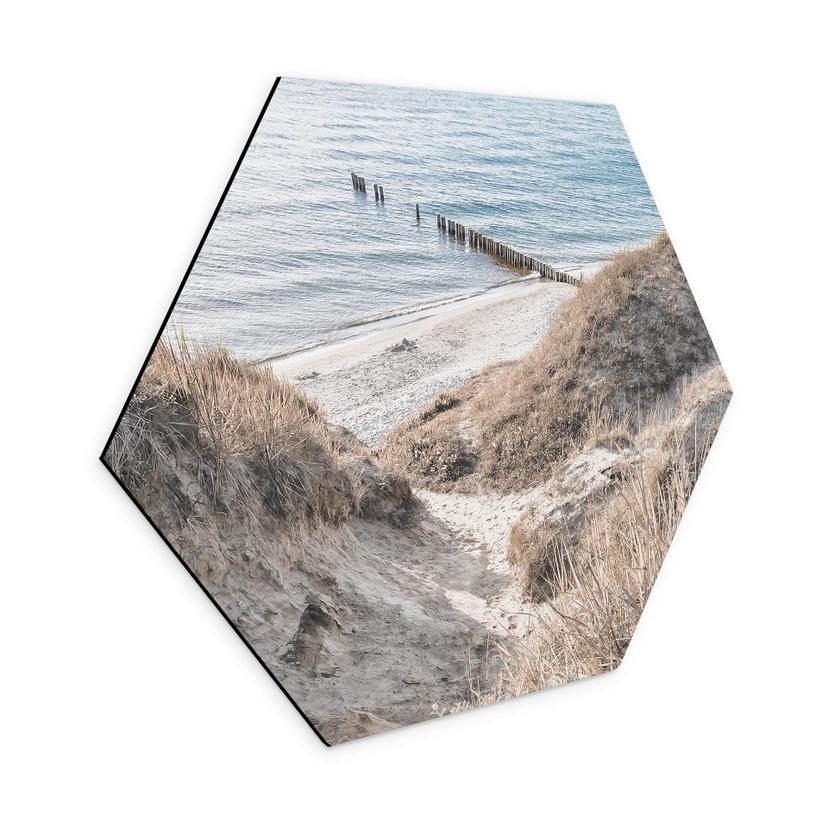 Hexagone - alu-Dibond Découverte de la nature dans les pittoresques dunes de la Baltique