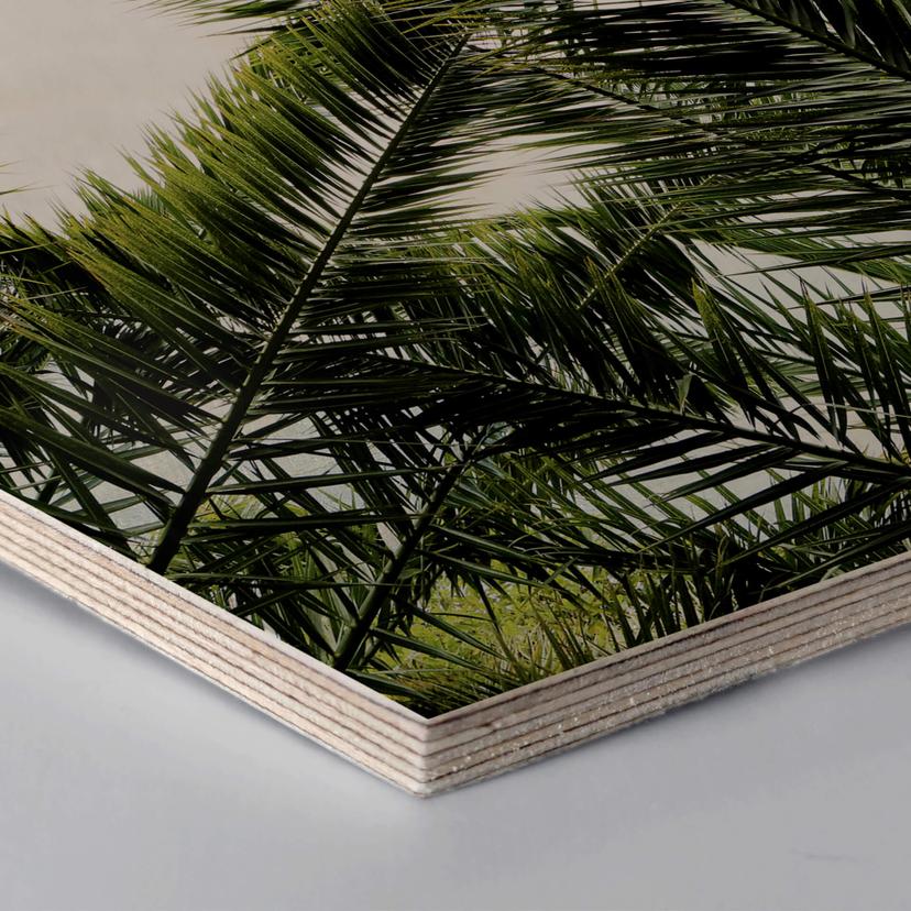 Esagoni in legno – Palme