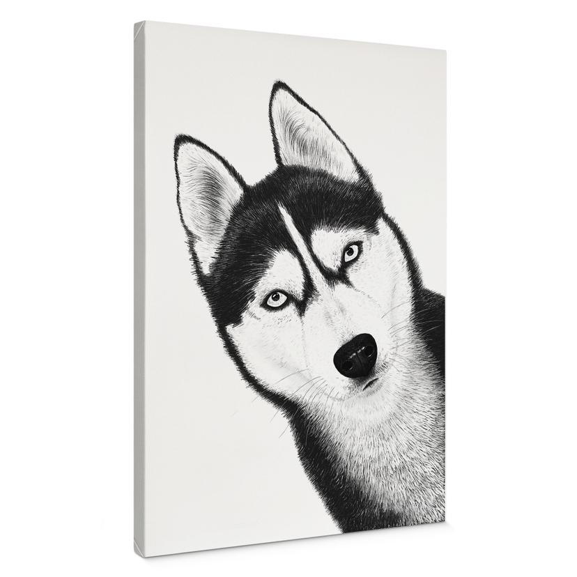 Canvasbillede Siberian husky - hundeportræt - Korenkova