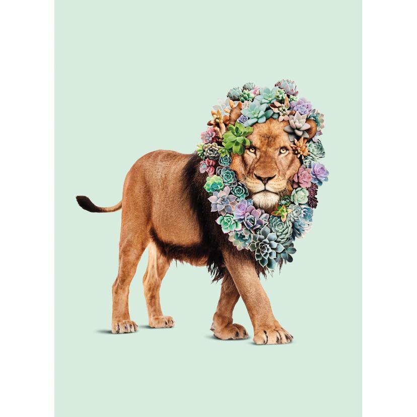 Fotomurale Loose - Succulent Lion