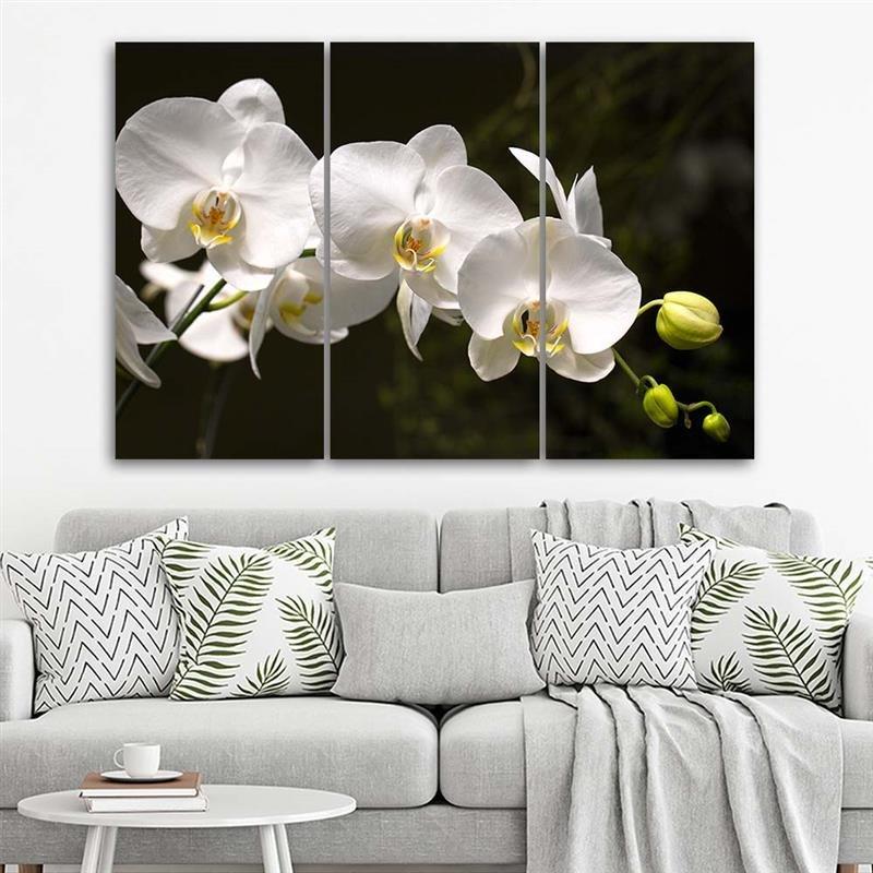Stampa su tela 3 pezzi, fiore di orchidea bianca