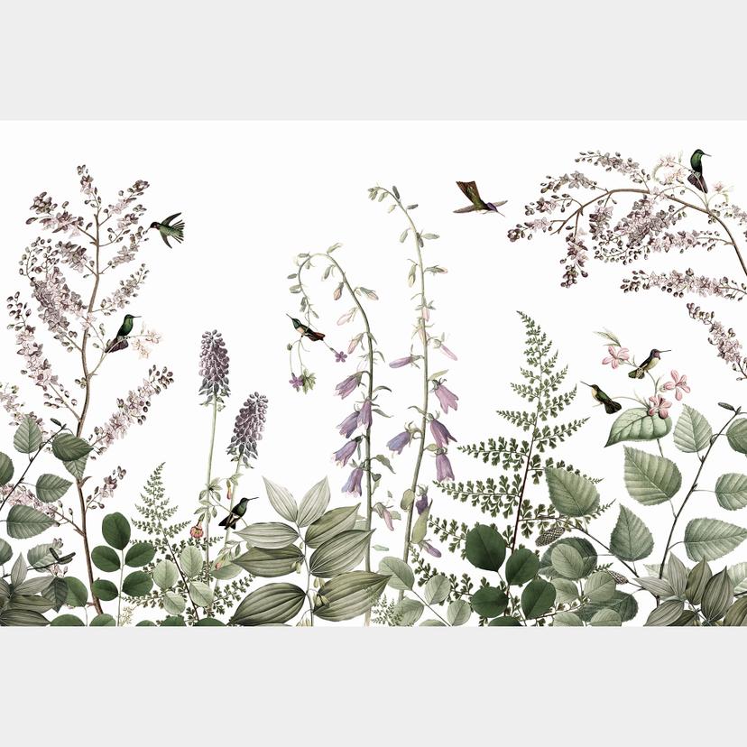 Papier peint photo Sir Edward - Colibris dans le jardin