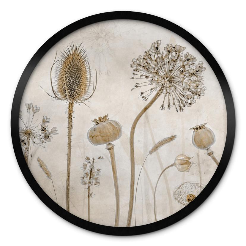 Póster Disher - Flores secas - Redondo