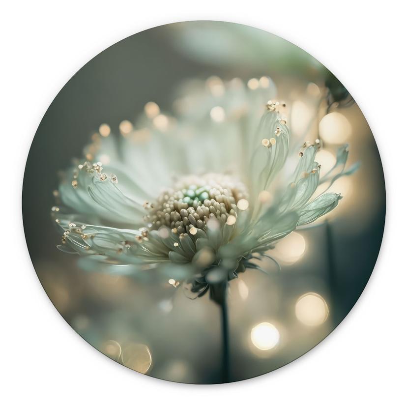 Billede Delikat glitrende blomster - Treechild - rund – print på aluminium (Alu-Dibond)