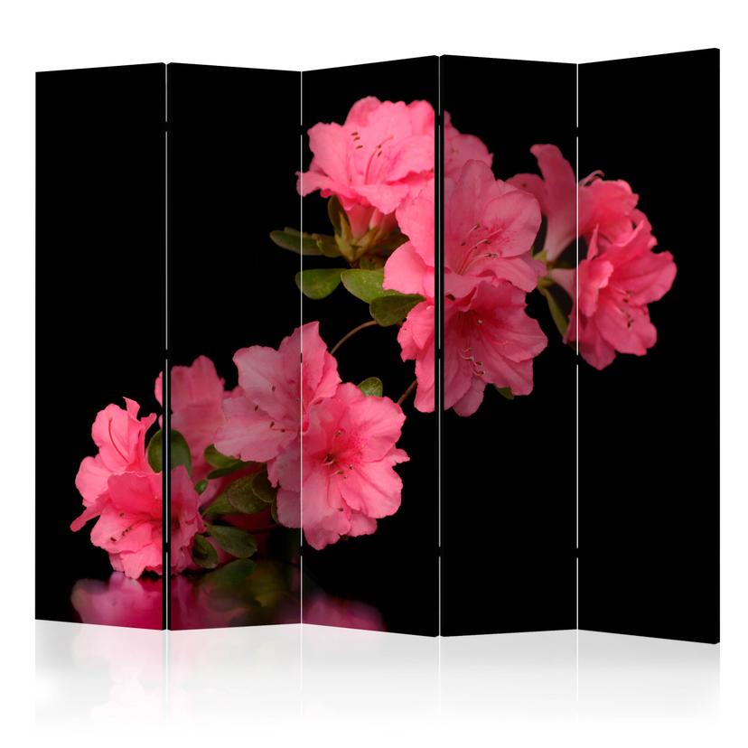 Schermo divisorio - Azalea nera, 3 pezzi