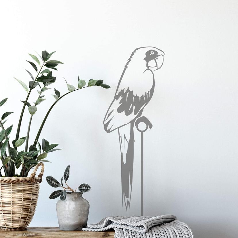 Sticker mural - Perroquet Pierre