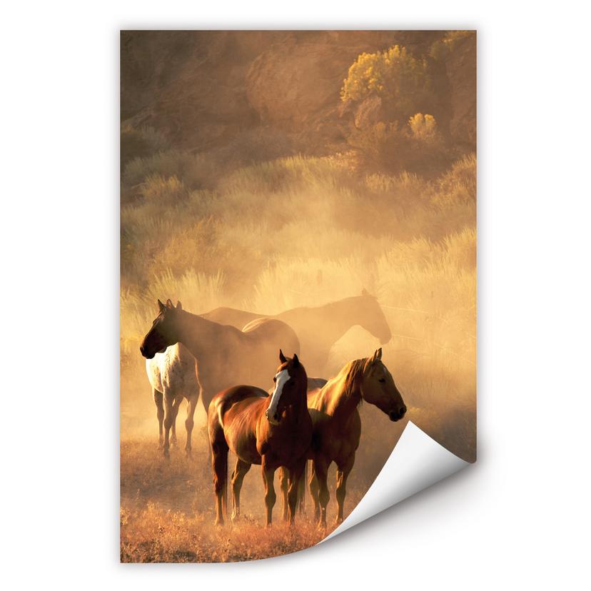 Poster autocollant - W - La Force des Chevaux