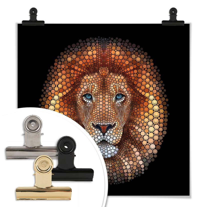 Poster Ben Heine - Circlism: Leone