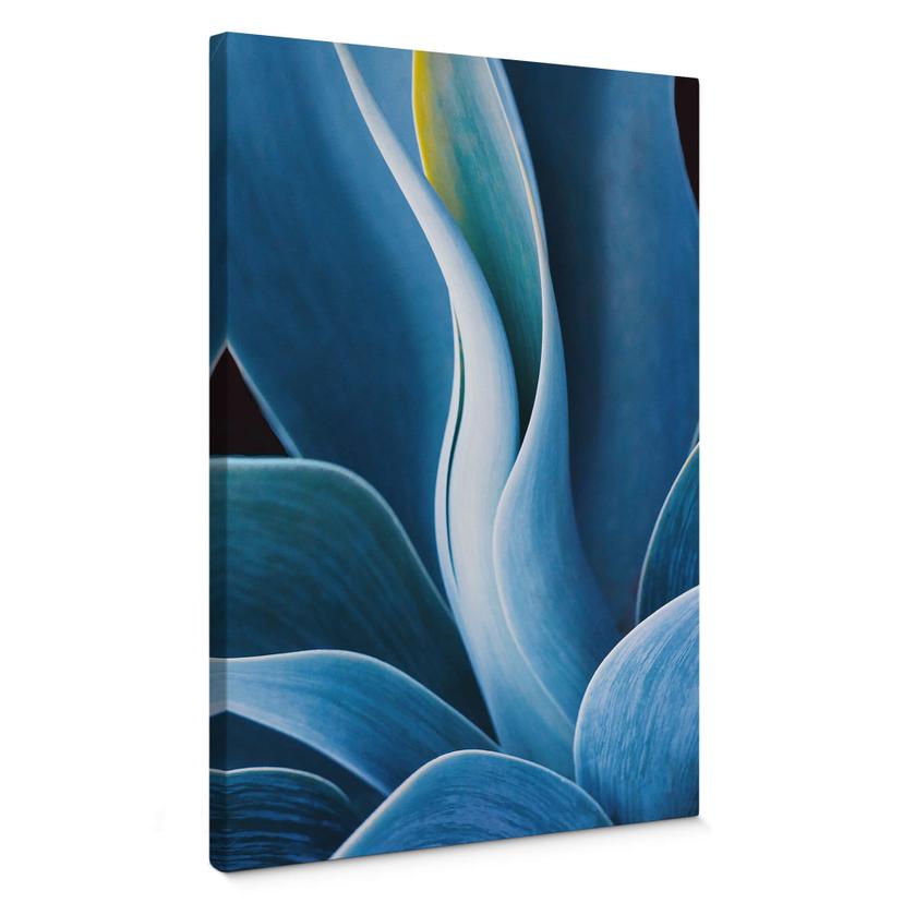 Lienzo Wechsler - Plantas naturaleza muerta agave