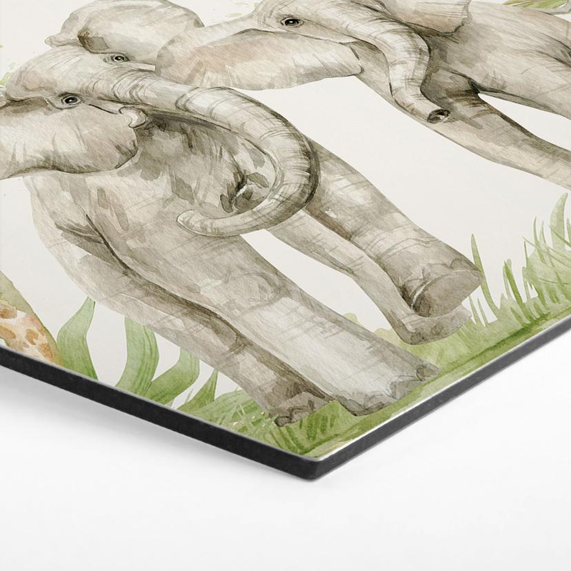 Esagono Alu-Dibond Animali nella giungla tropicale - UN Designs