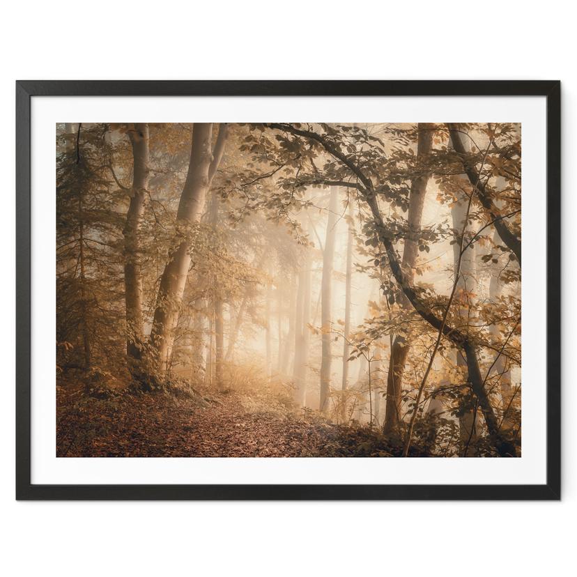 Póster Bosque en la niebla matinal - Maier
