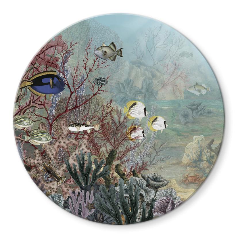 Tableau sur verre Sir Edward - habitant du corail