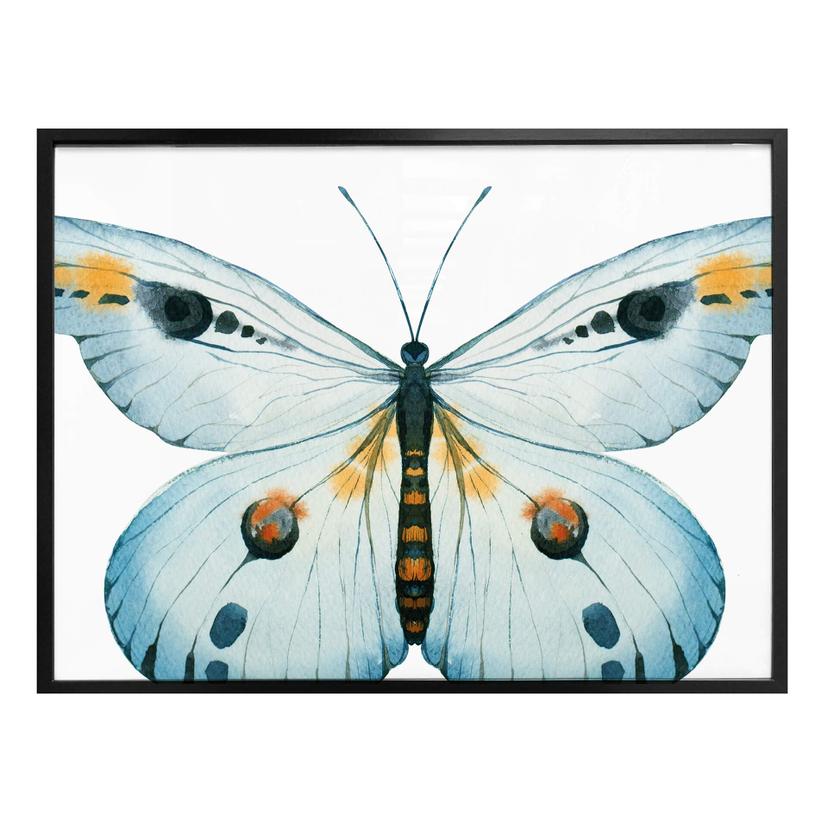 Affiche Kvilis - Papillon 03
