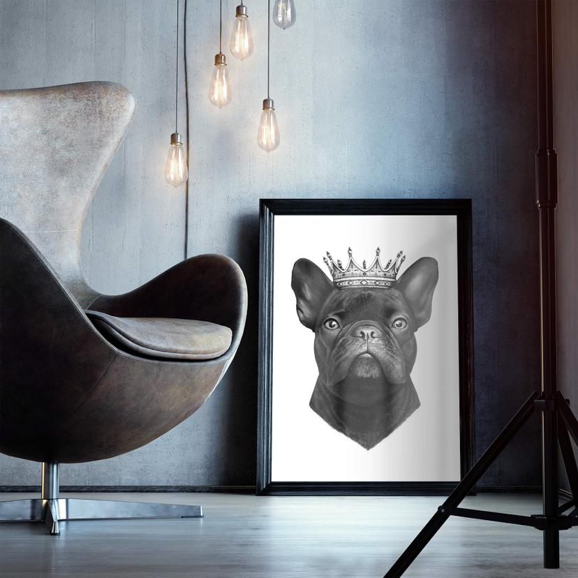 Poster Korenkova - King fransk bulldogg