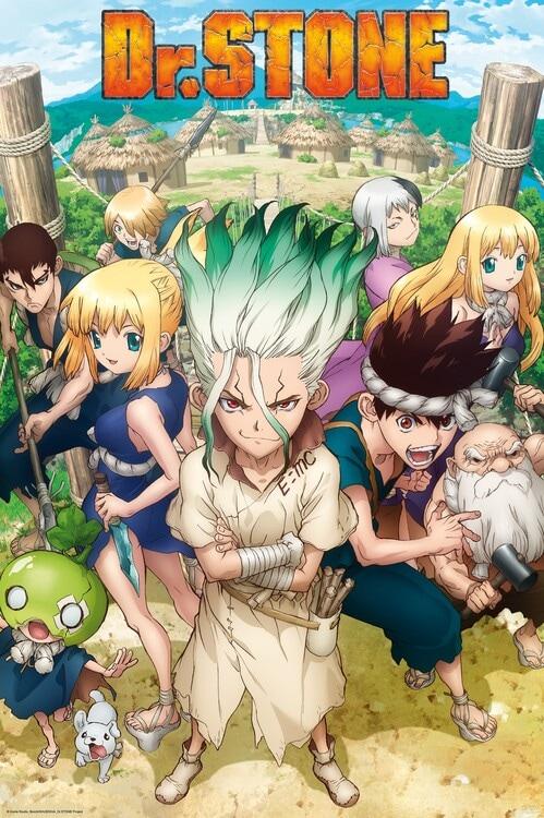 Poster, Film poster DR. Stone - Group 61x91,5 cm