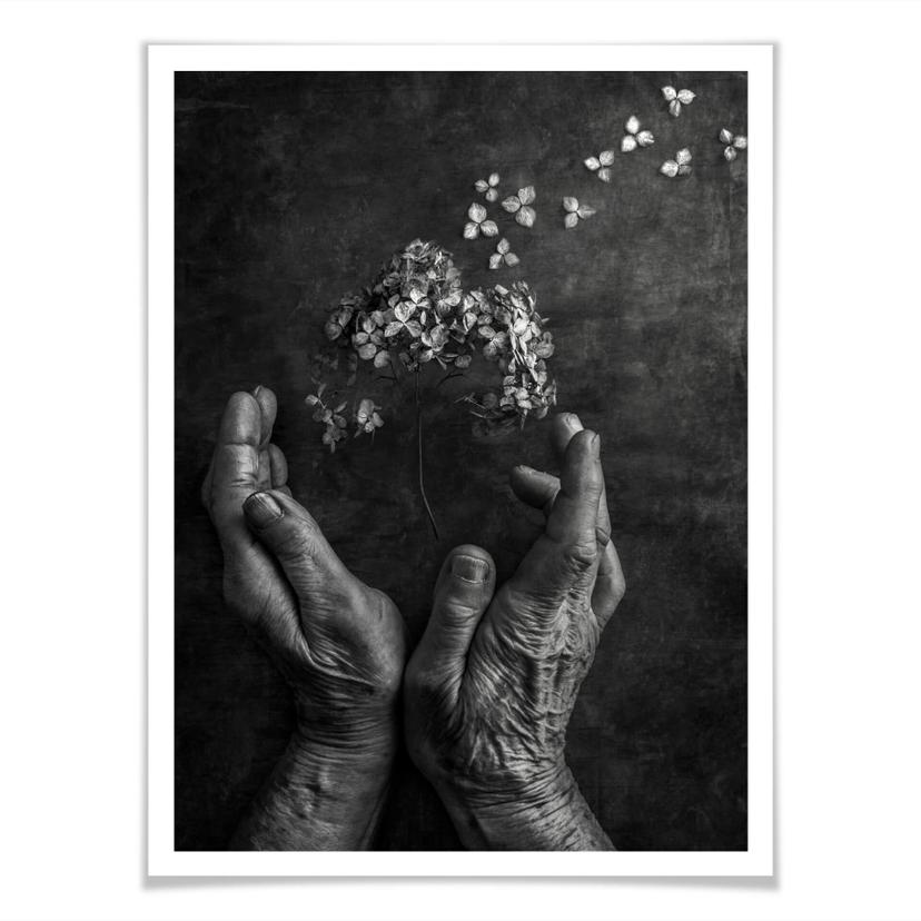 Poster Clough - Tempus fugit