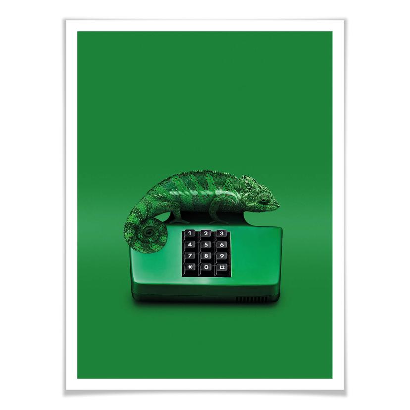 Poster Loose - Chamelephone