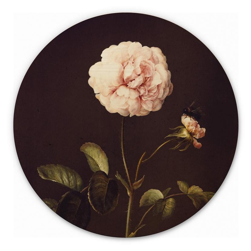 Tableau sur bois Dietzsch - Rose au vinaigre avec bourdon - Rond