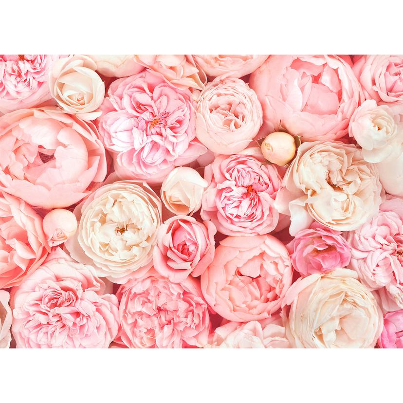 Livingwalls Fotomurale Designwalls -  Rose