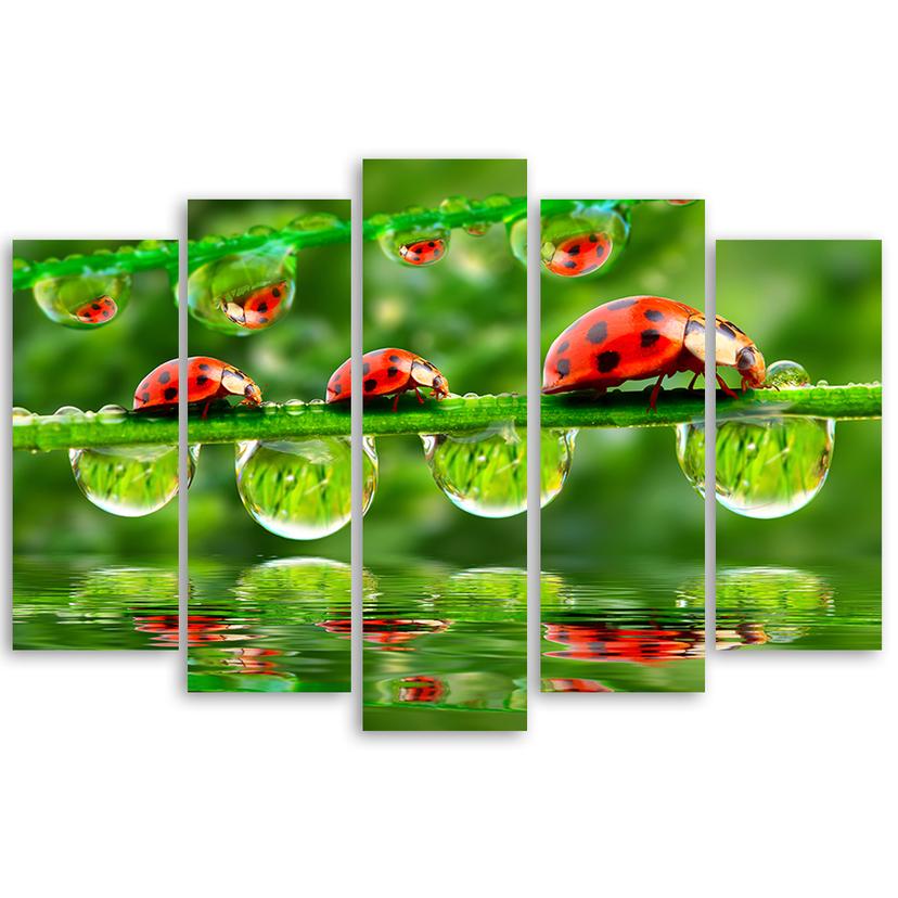 Stampa su tela 5 pezzi, goccia d'erba coccinella