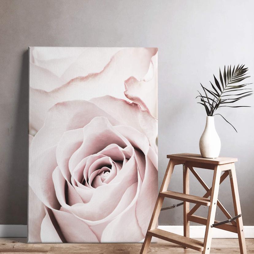 Cuadro 1X Estudio - Rosa preciosa