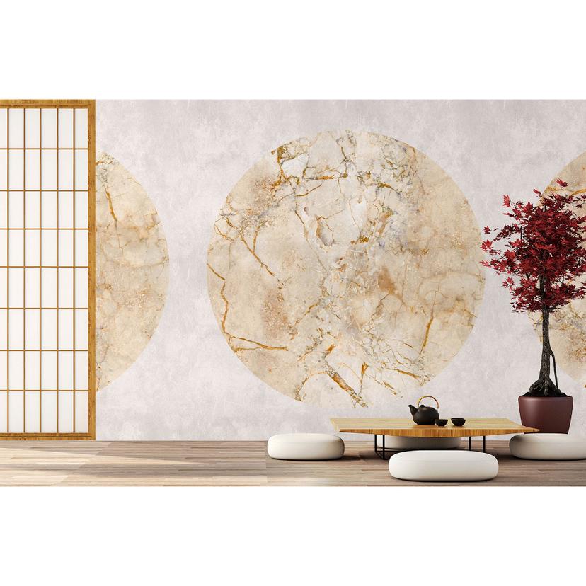Livingwalls papier peint photo  Walls by Patel 3 Venus 1
