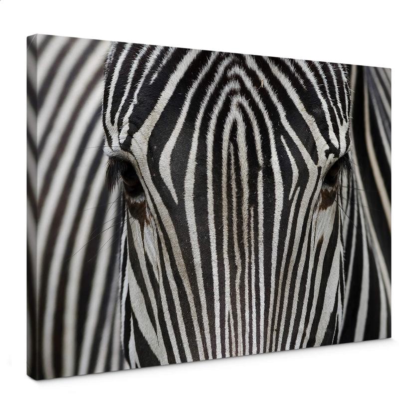 Tableau sur toile Regard