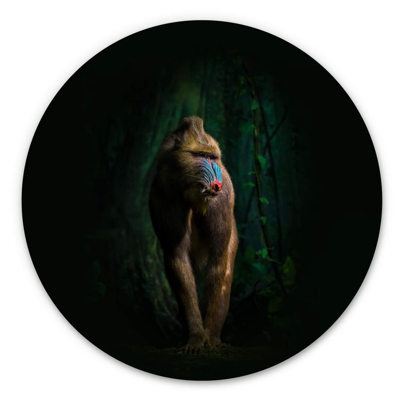 Tableau sur alu-Dibond Yunta - Dans la jungle - Rond