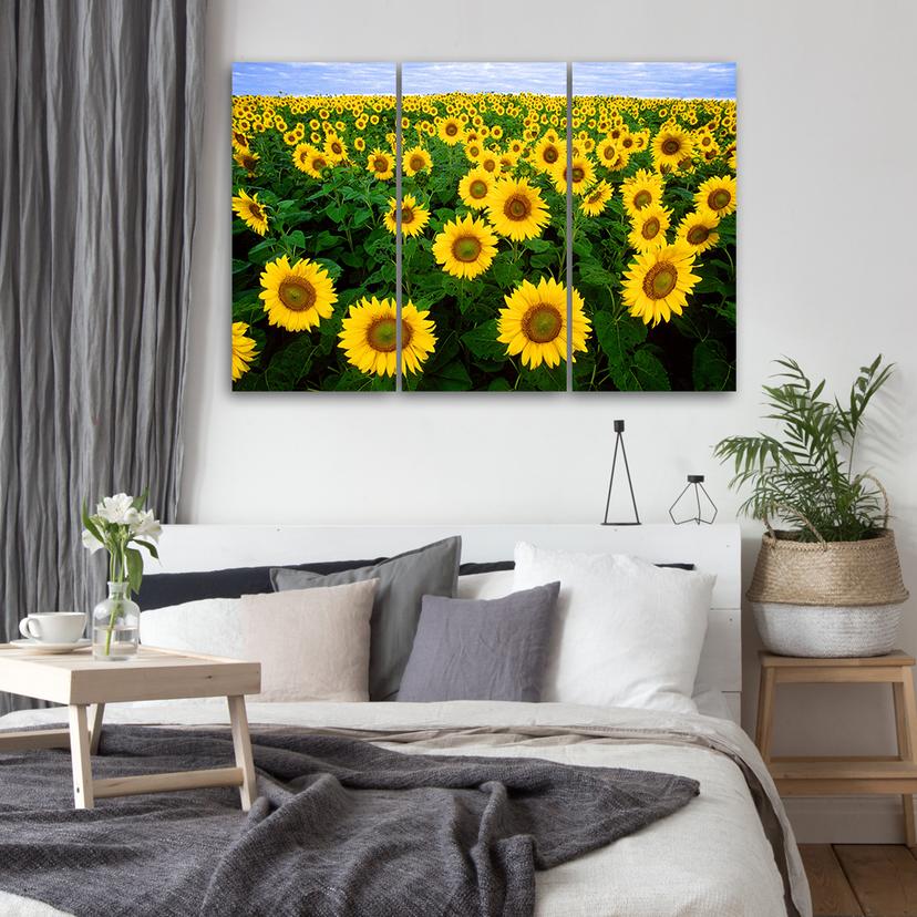 Stampa su tela 3 pezzi, prato di girasoli