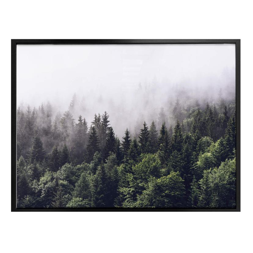 Poster Forêt brumeuse