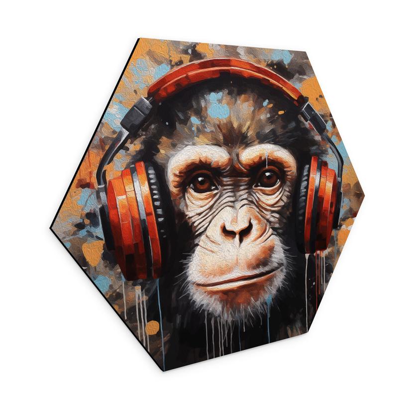 Hexagon Dibond DJ-abe med hovedtelefoner - Magnusson