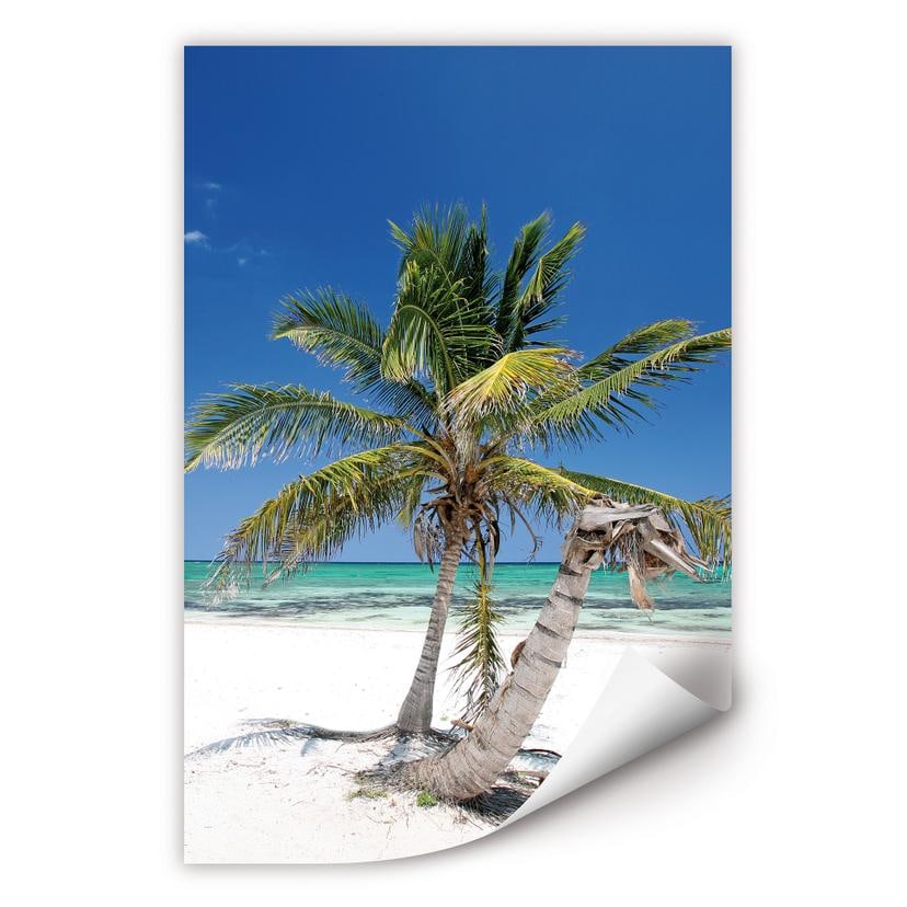 Poster autocollant - W - Palmier
