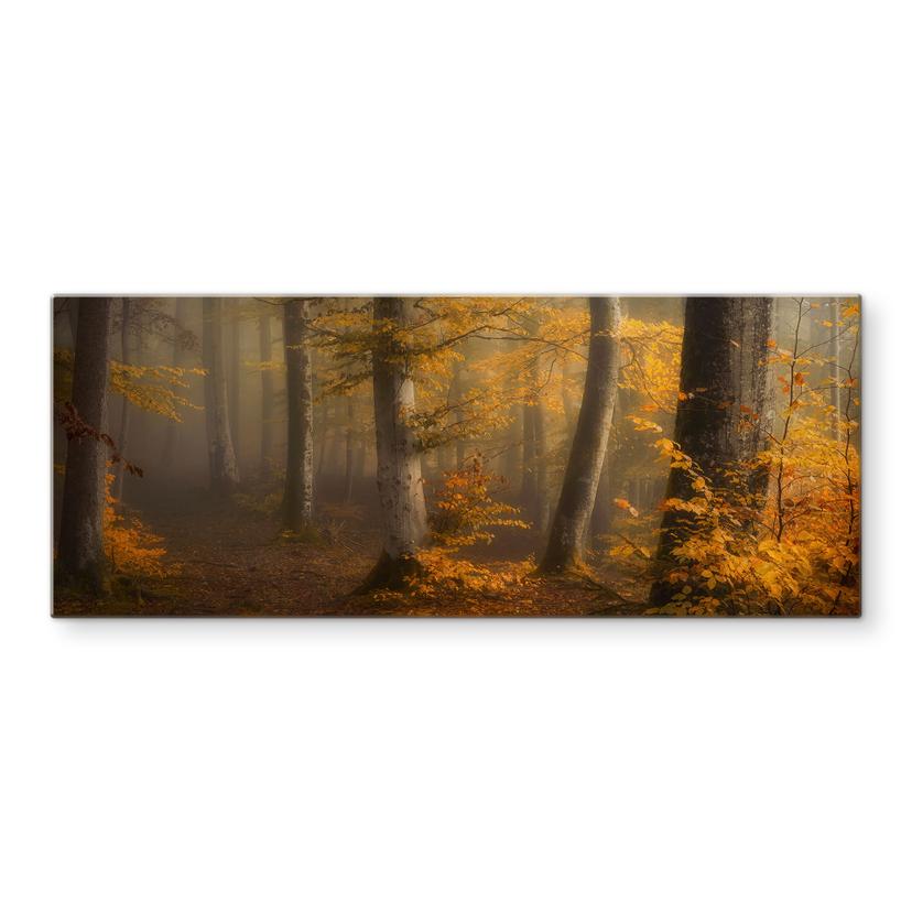 Spatscherm Gouden bladeren in een mistig bos - Maier - Panorama