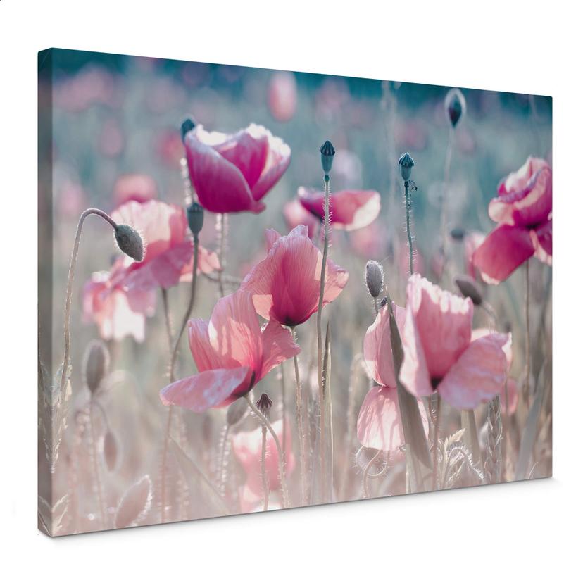 Tableau sur toile Delgado - Champ de coquelicots