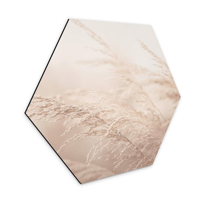 Hexagon Dibond Morning Light