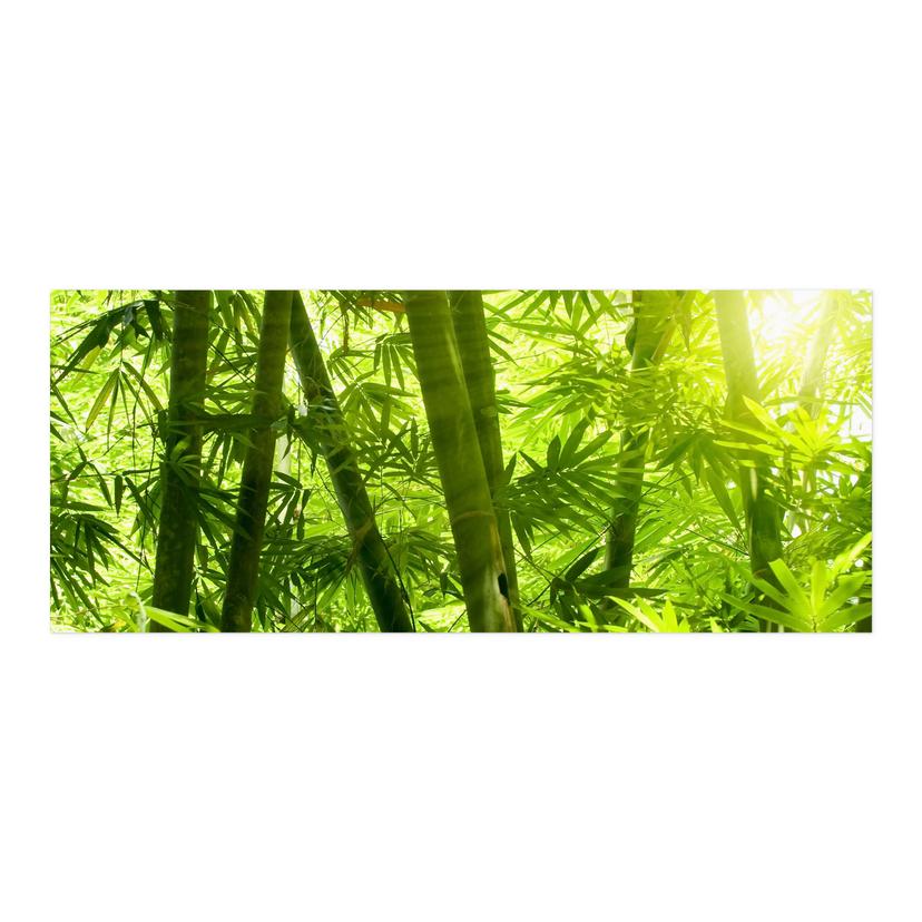 Självhäftande Stänkpanel Solsken i bambuskogen