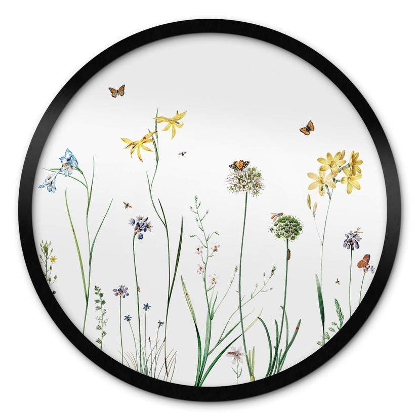 Póster Sir Edward - Pradera de mariposas - Redondo